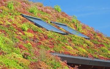 Eglingham living roof systems