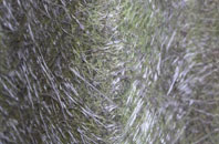 Eglingham fibreglass roof work